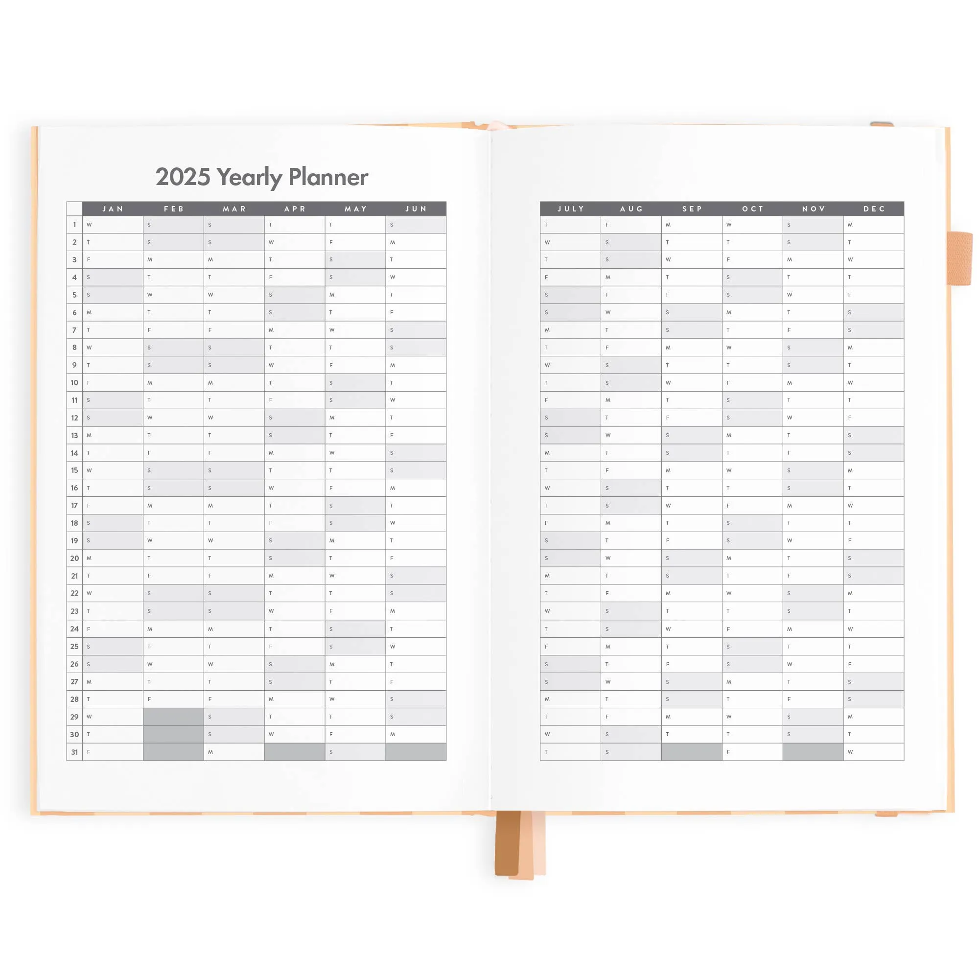 2025 Vertical Planner - Corsica Stripe