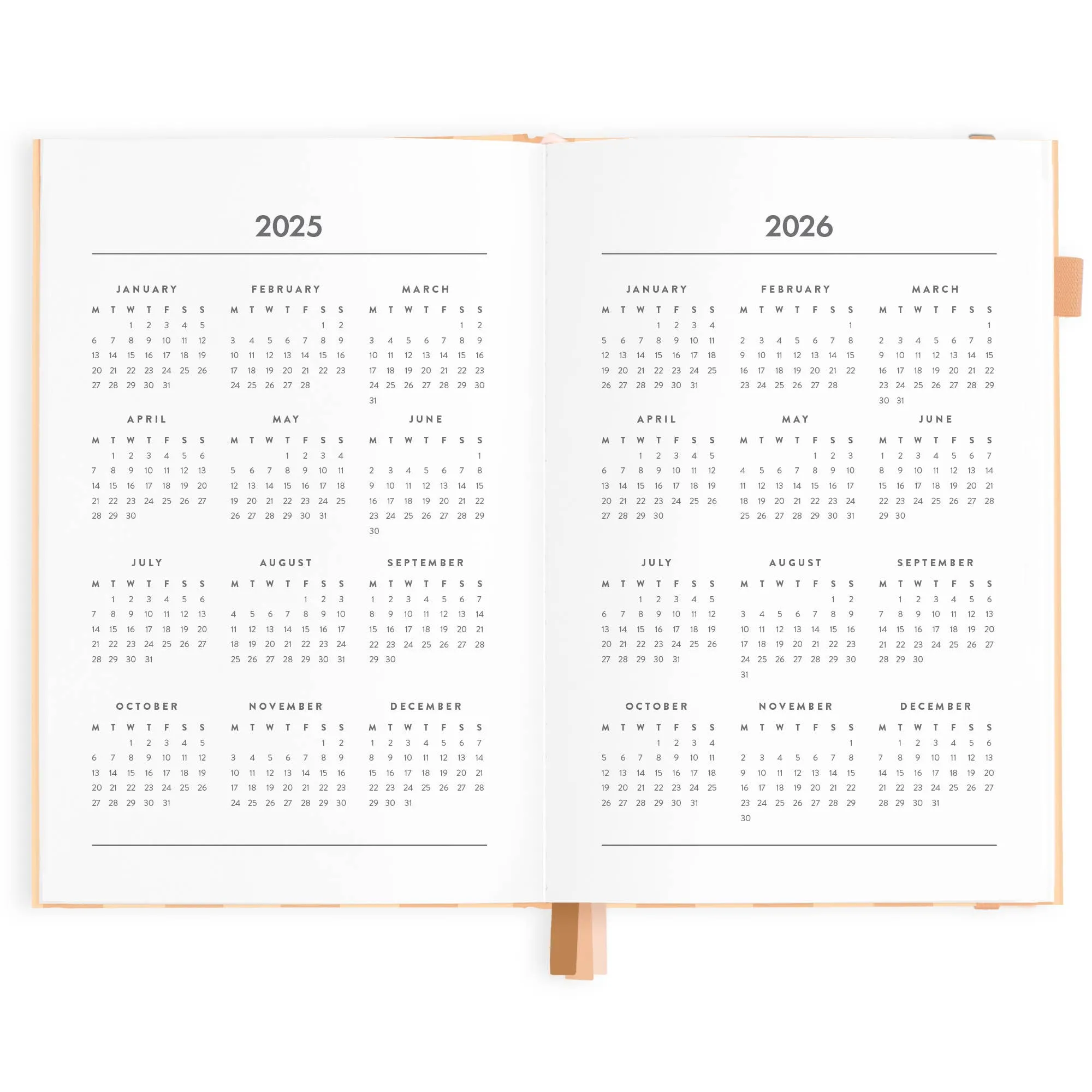 2025 Vertical Planner - Corsica Stripe