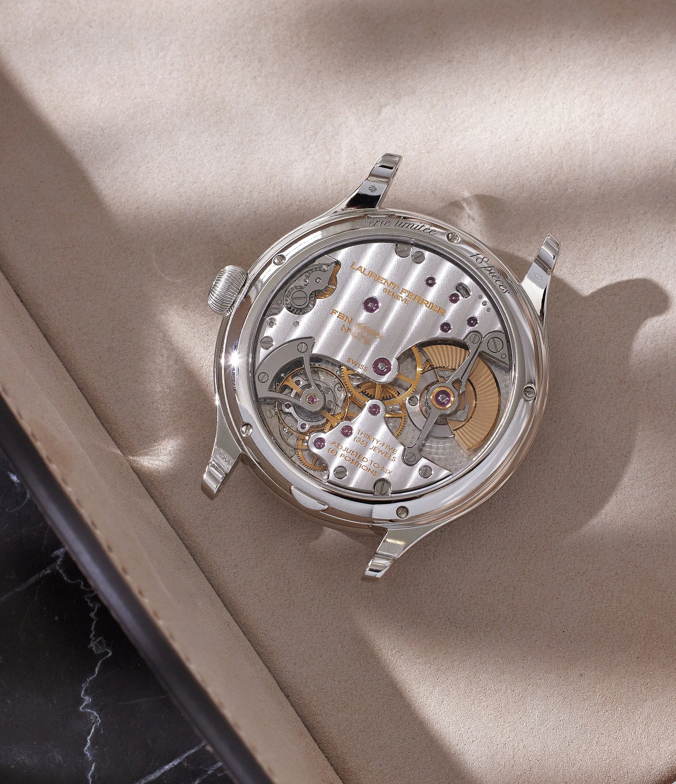 Galet Micro-Rotor | Platinum